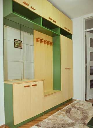 Апартаменты Stan Željezara Цетине Апартаменты с 2 спальнями-19